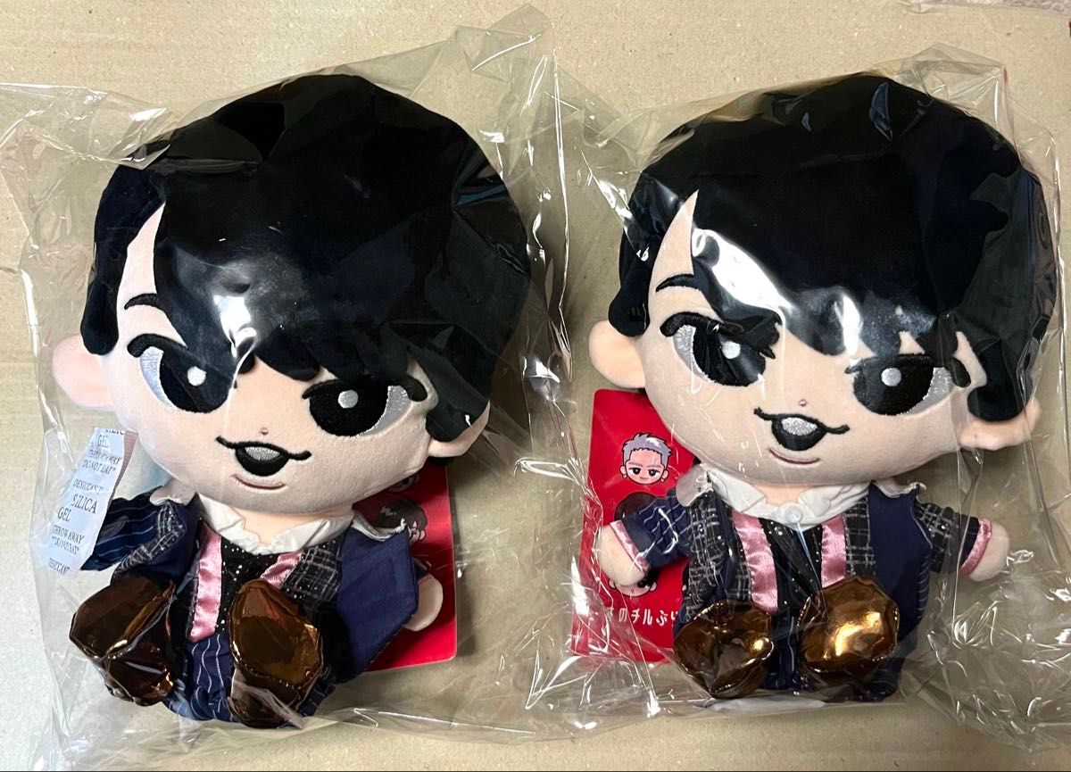 アイラ様 向井康二 宮舘涼太 すのチル ぬいぐるみ Snow Man World すの