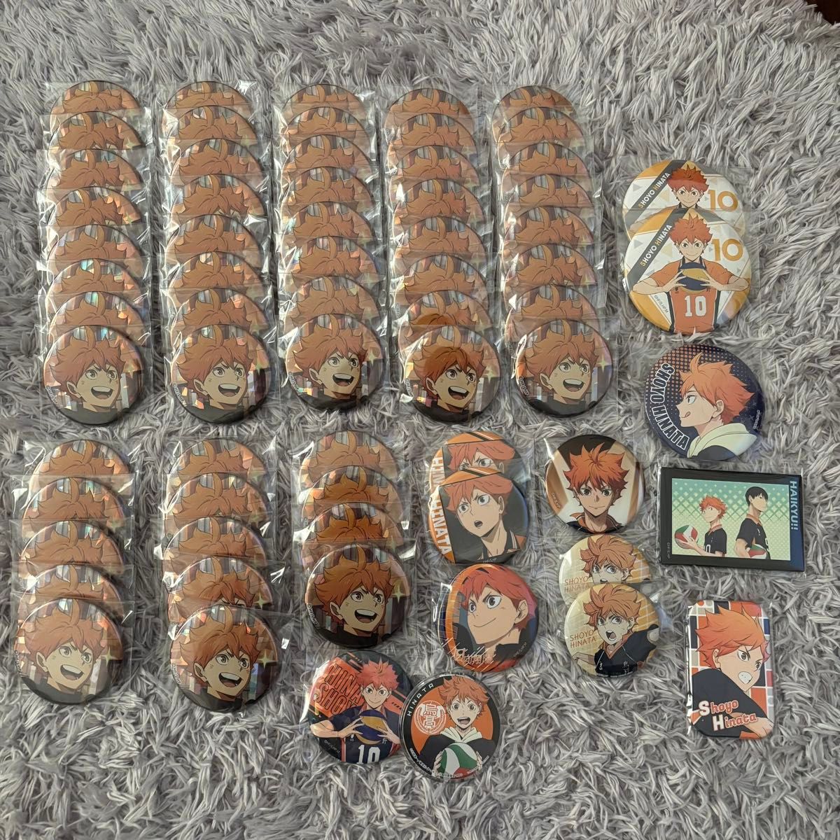 ハイキュー 日向翔陽 缶バッチ ホログラム缶バッジ One Fine Day