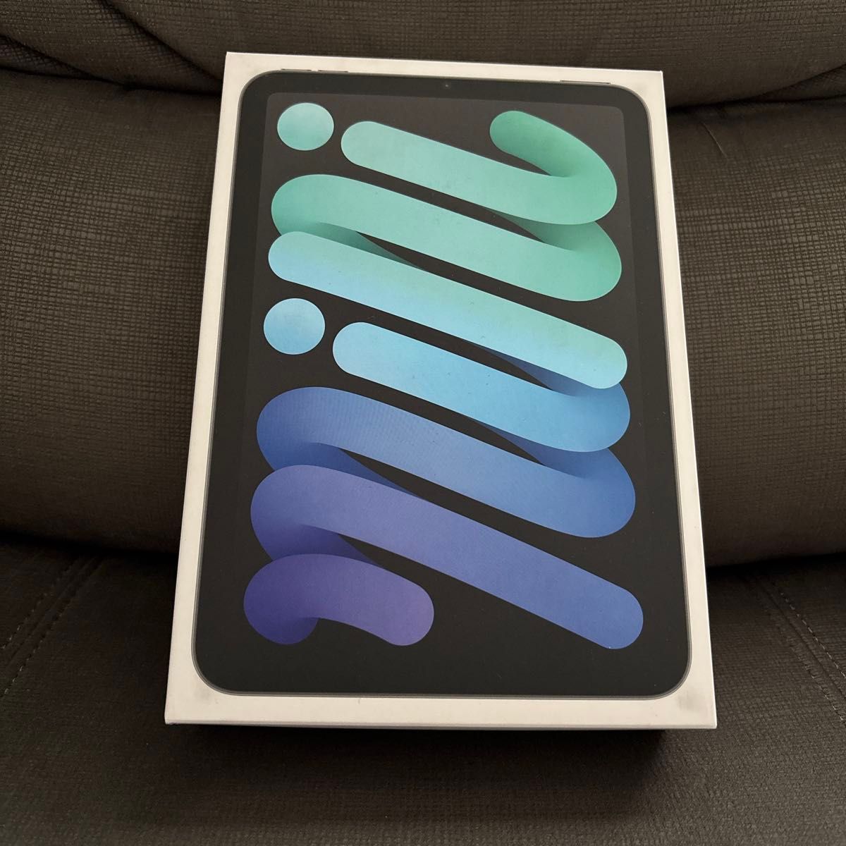 新品 未開封 iPad mini 第7世代 A17 Pro 512GB スペースグレイ｜Yahoo