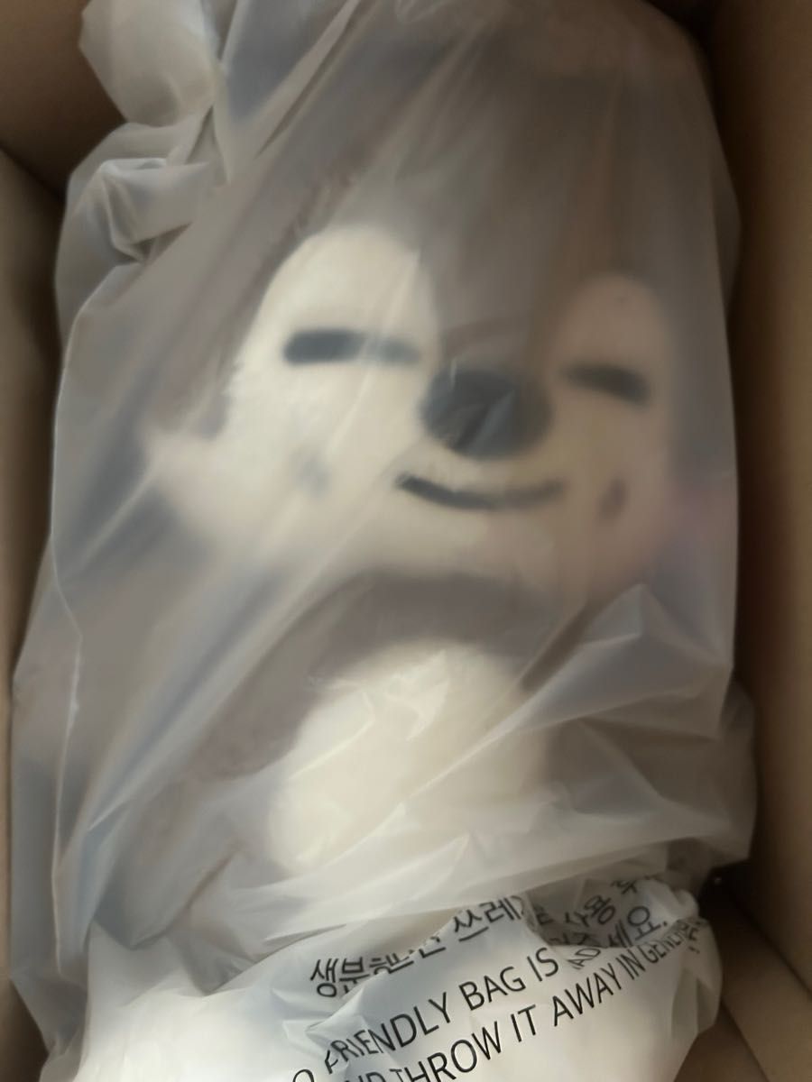 straykids スキズ テディベア ぬいぐるみ SKZOO ウルフチャン｜Yahoo