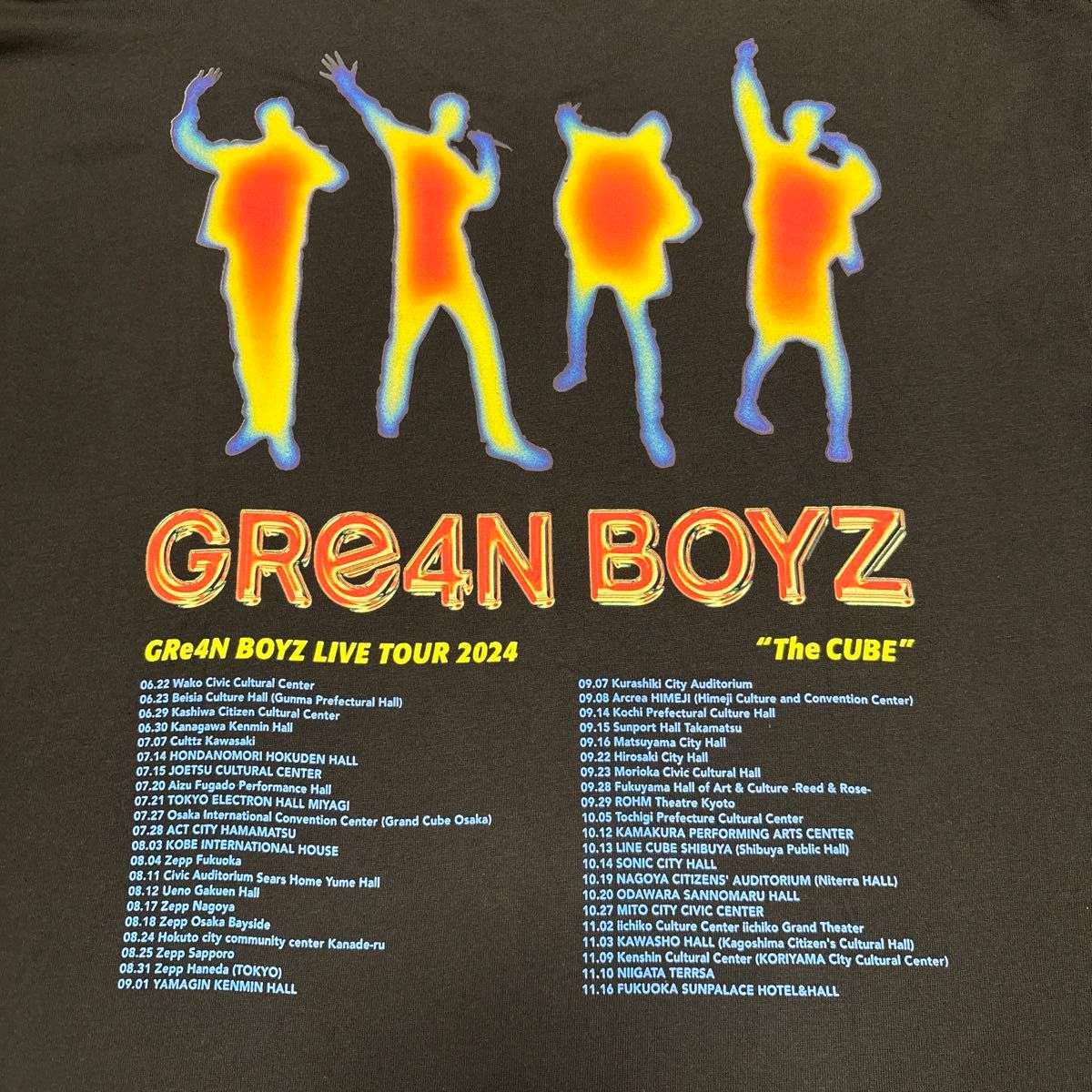 GRe4N BOYZ グリーンボーイズ ツアー Tシャツ Mサイズ GReeeeN バンドT