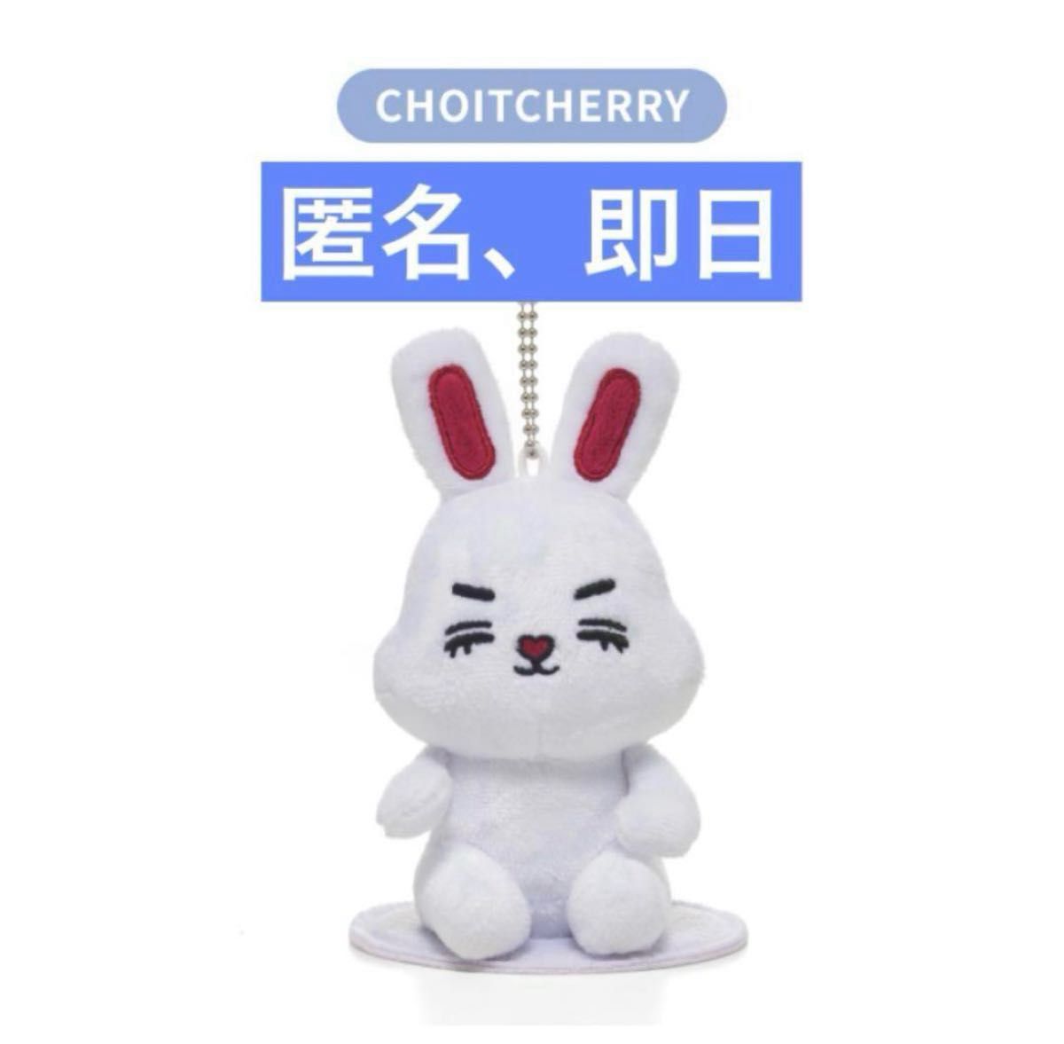 公式SEVENTEEN セブチ MINITEEN ミニティーンマグネット キーリング