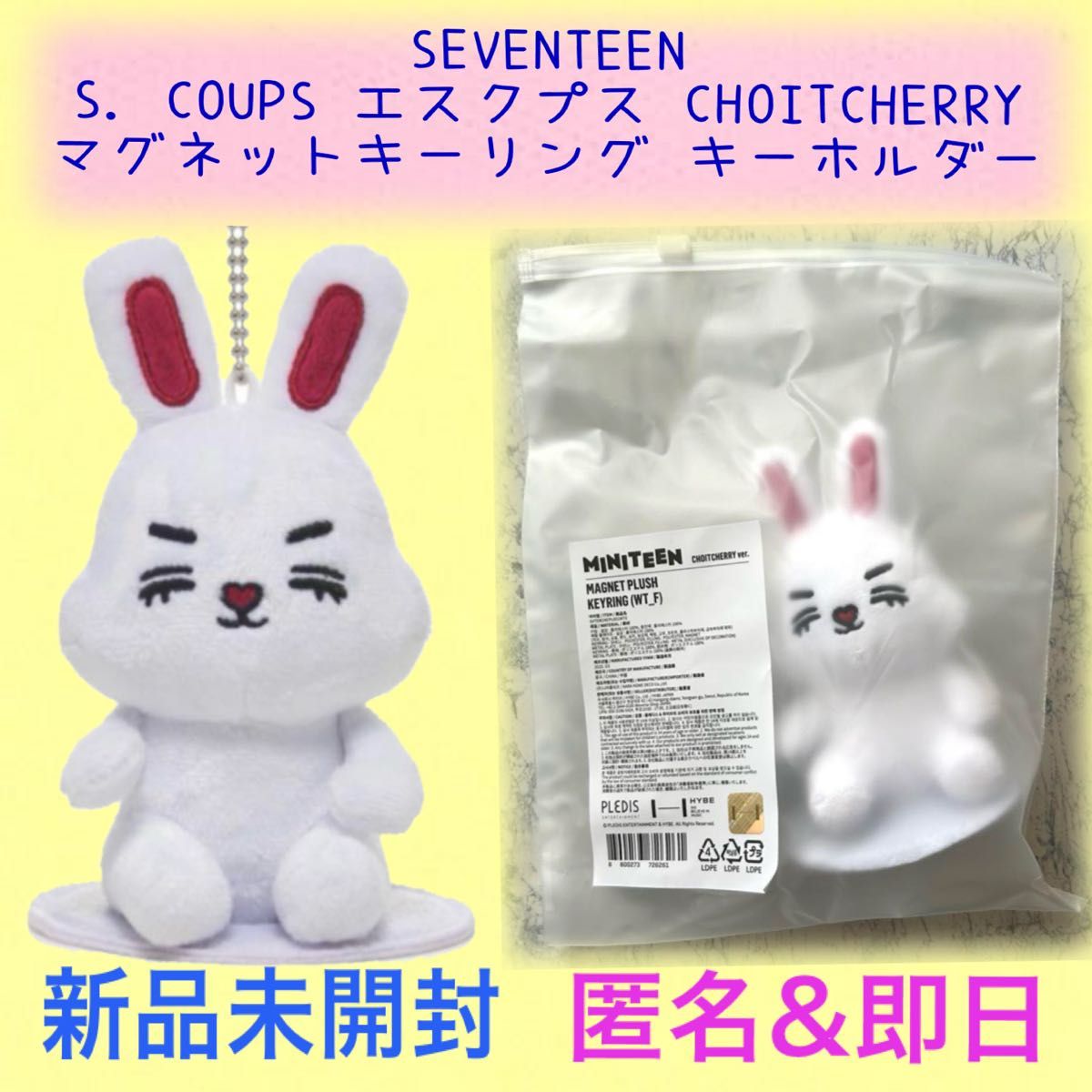 公式SEVENTEEN セブチ MINITEEN ミニティーンマグネット キーリング