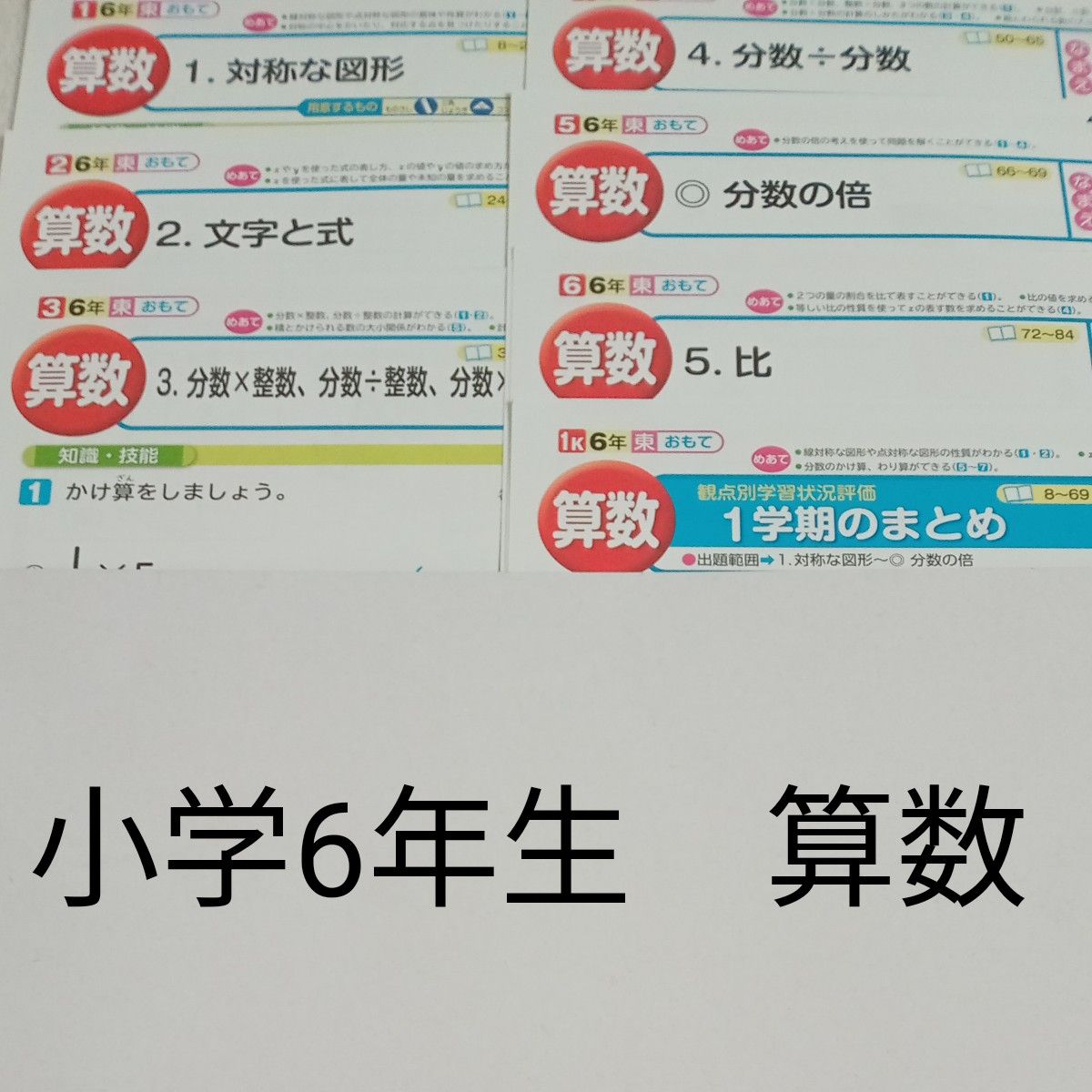 6年生 算数 東京書籍 教育同人社 カラーテスト 1学期 未使用｜Yahoo