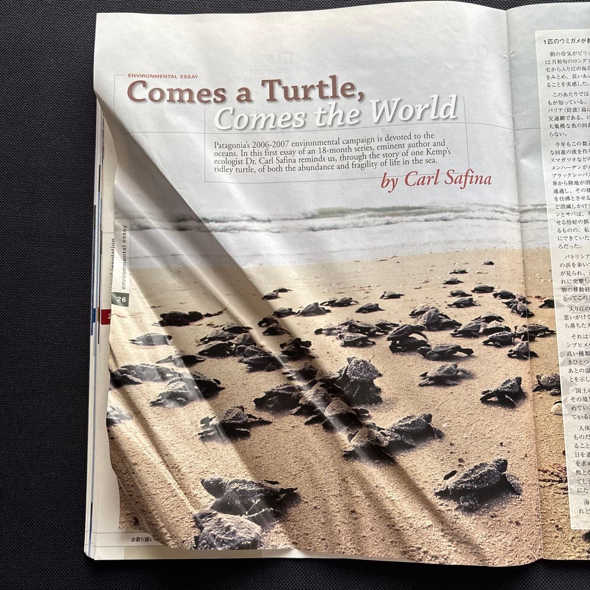 Patagonia HEART OF WINTER 2006 パタゴニア カタログ｜Yahoo!フリマ