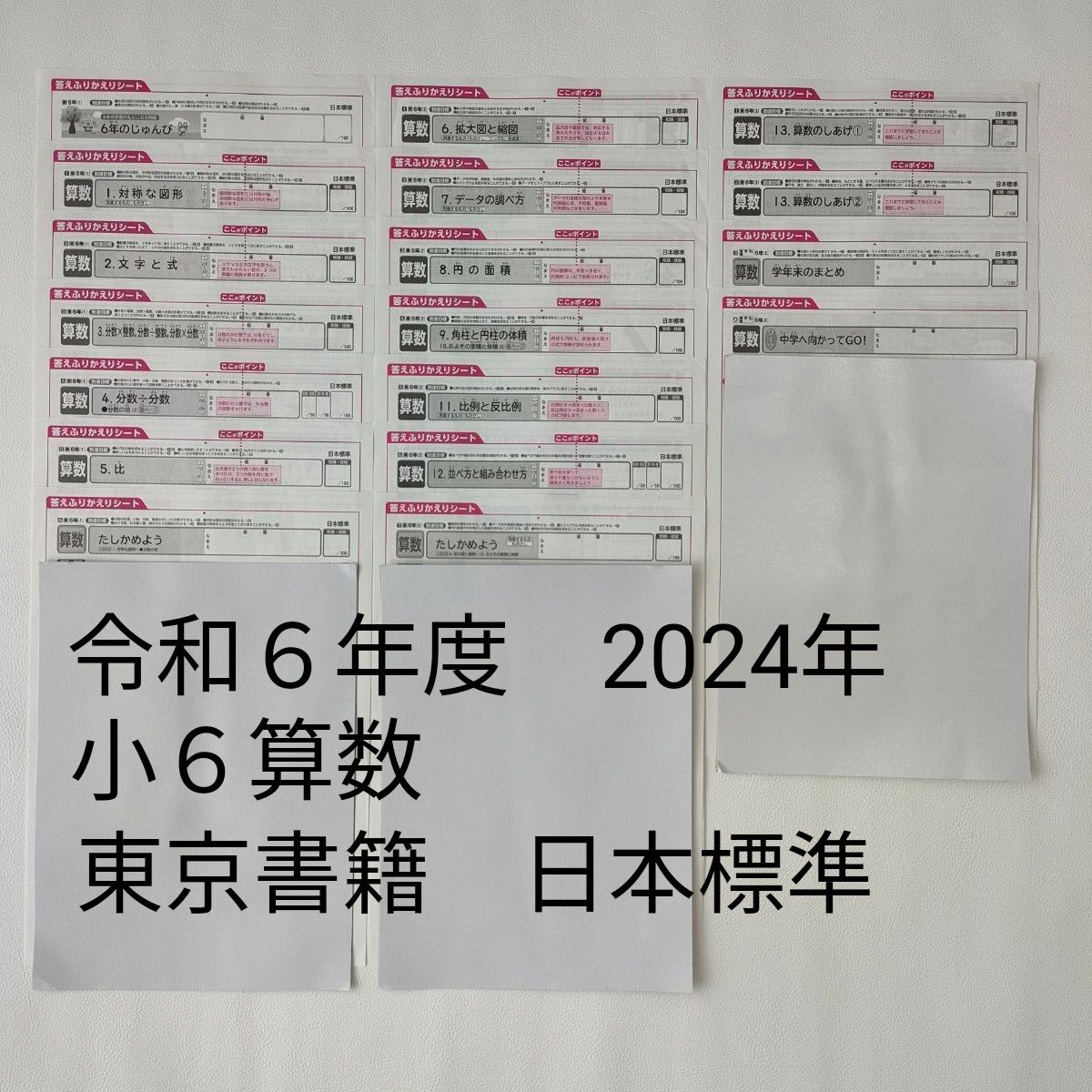 最新 令和6年度 2024年度 小学6年生 小6 算数 カラーテスト 答え