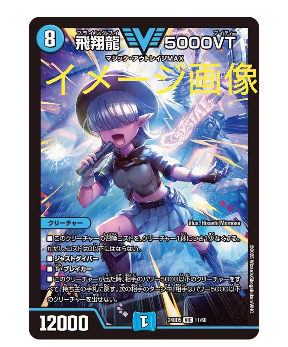 飛翔龍5000VT 24RP2 VIC 金トレジャー 飛翔龍5000VT 24RP2 VIC 金