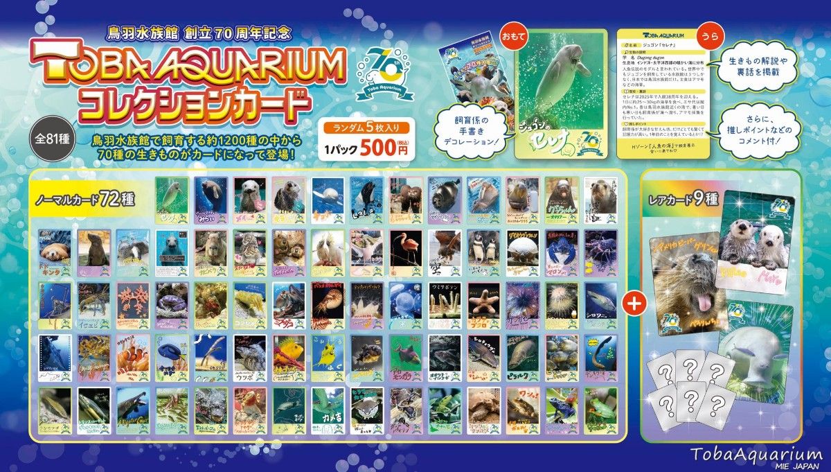 鳥羽水族館 TOBA AQUARIUM コレクションカード 52枚セット｜Yahoo