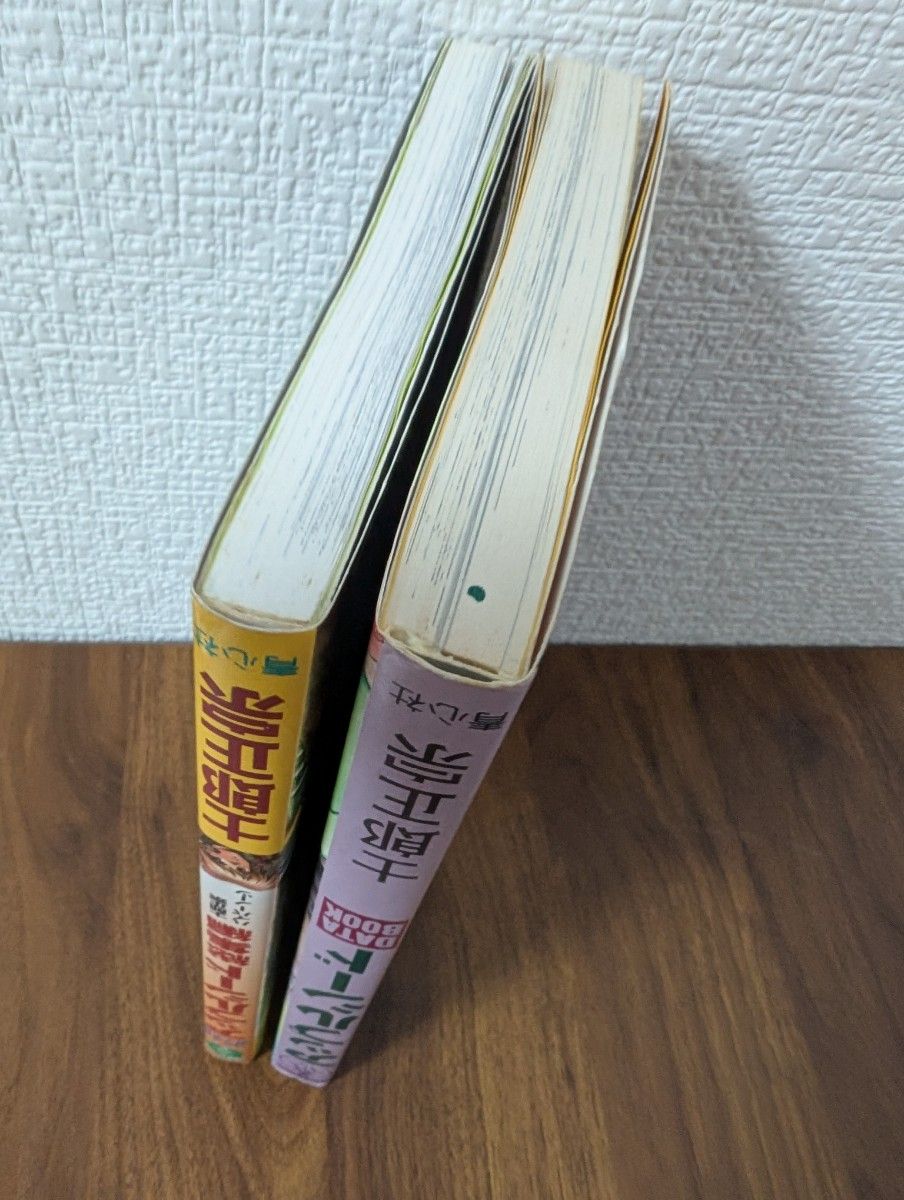 アップルシード データブック／総集編 士郎正宗 セット｜Yahoo!フリマ