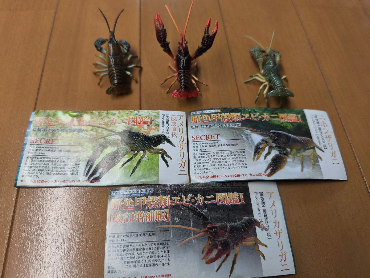 美品】原色甲殻類エビ・カニ図鑑 3体セット｜Yahoo!フリマ（旧PayPay
