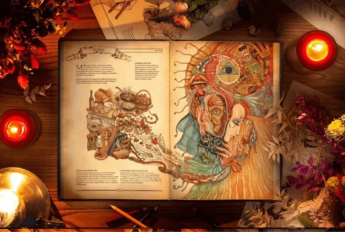 The Book 知的好奇心を徹底的に満たす 繊細で美しい絵を満載した大人の