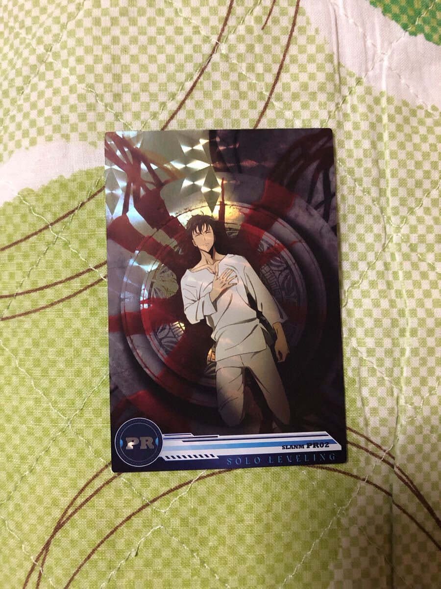 PRカード イベント配布品 俺だけレベルアップな件 ソロレベリング Solo