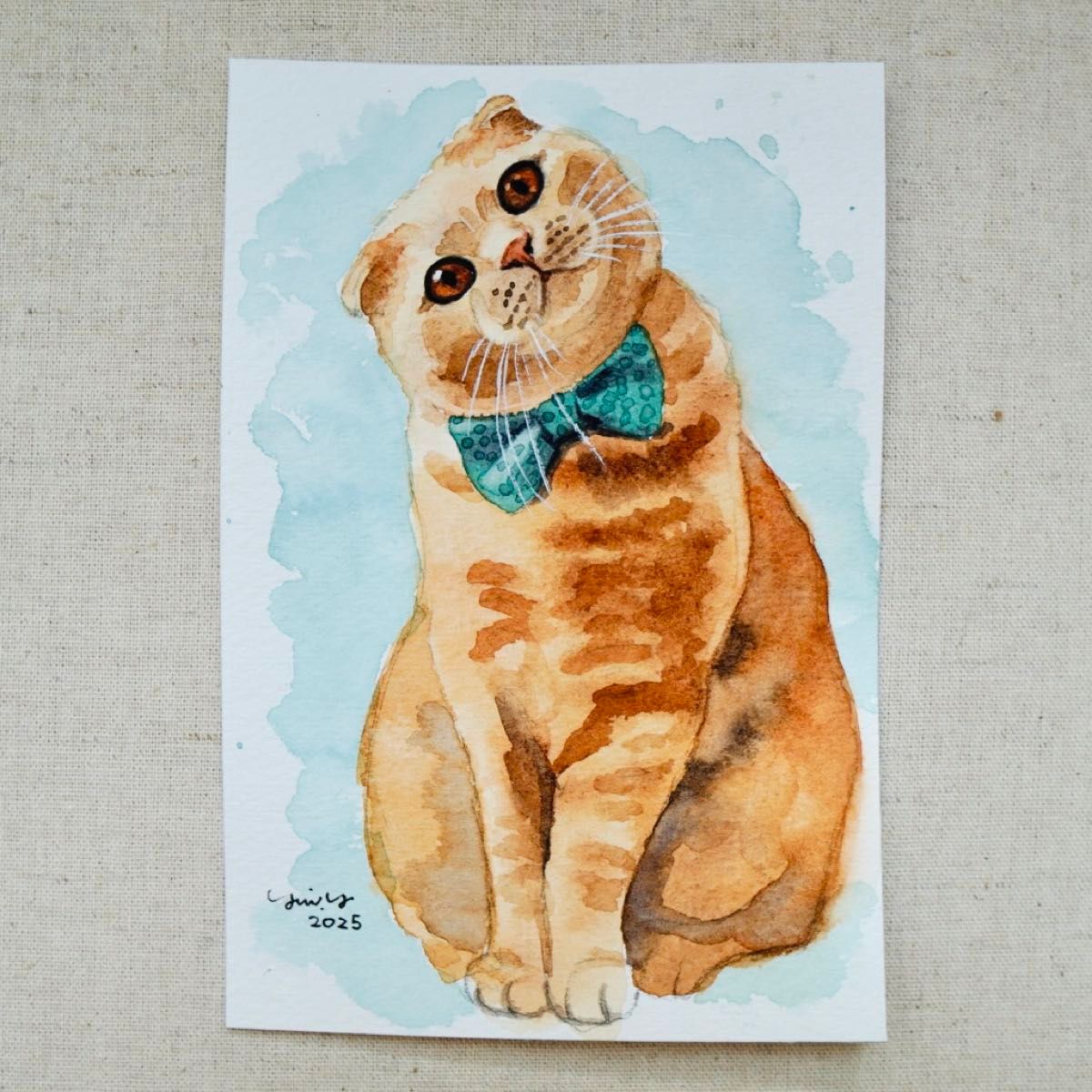 猫の絵 304 水彩画 原画 スコティッシュフォールド ポストカードサイズ