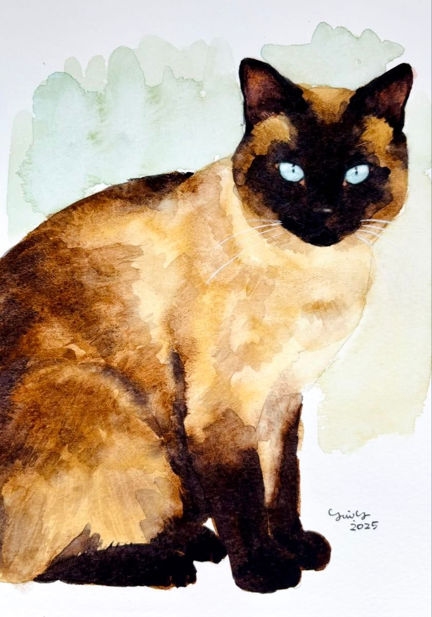 猫の絵 310 水彩画 原画 シャム猫 2L判｜Yahoo!フリマ（旧PayPayフリマ）