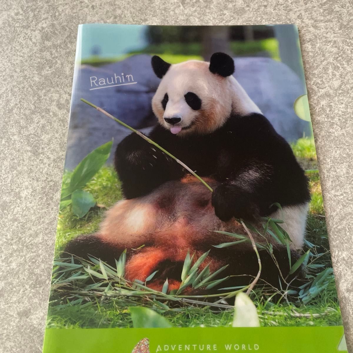 楓浜 良浜 結浜 アドベンチャーワールド ハンカチ＆クリアファイル