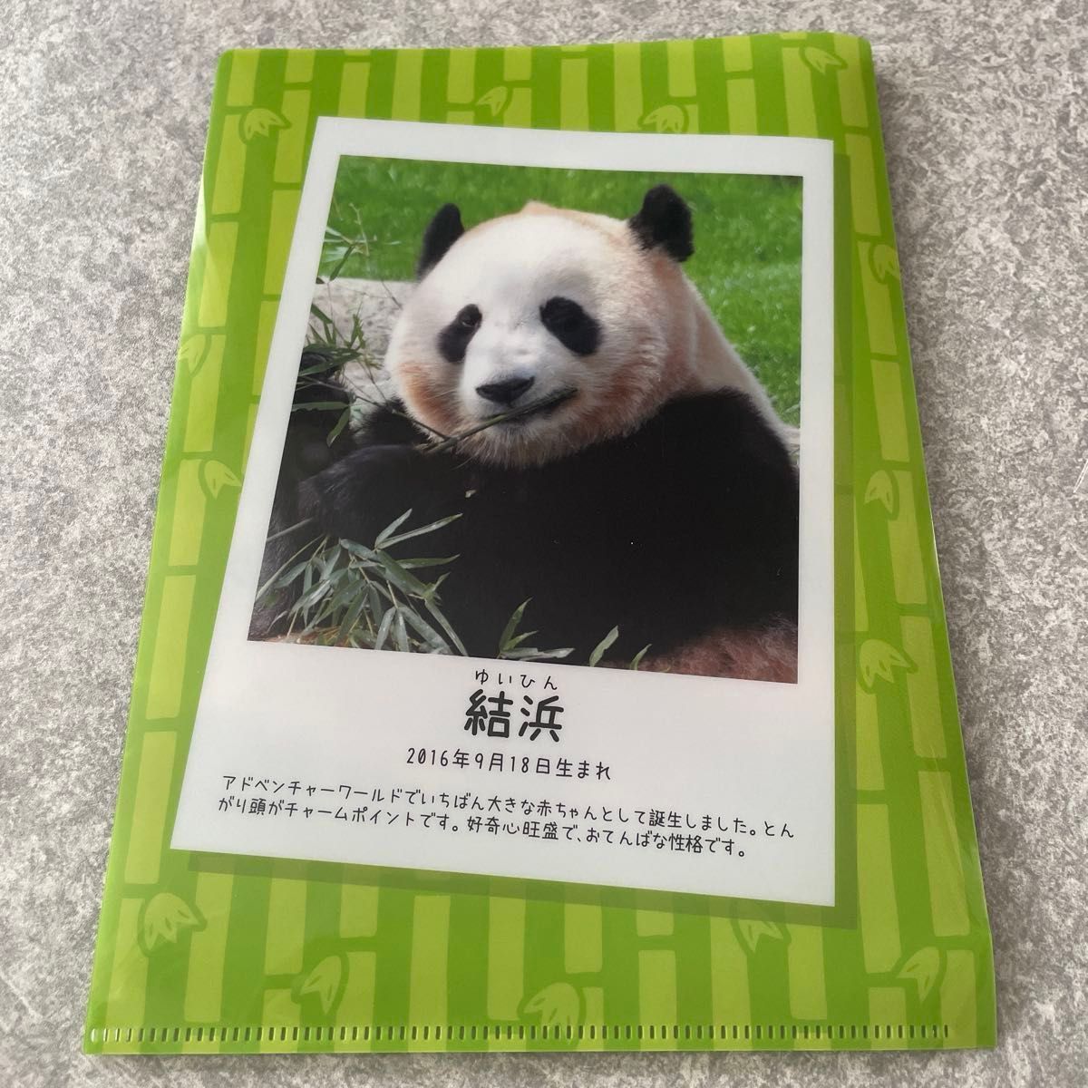 楓浜 良浜 結浜 アドベンチャーワールド ハンカチ＆クリアファイル