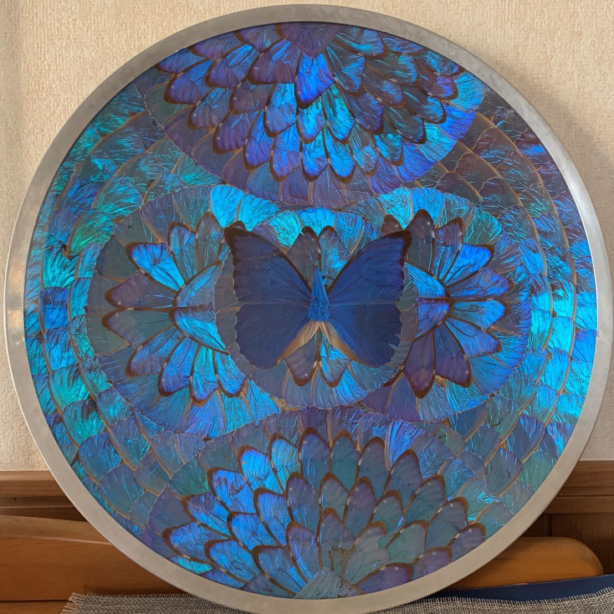 ブラジル モルフォ蝶 大皿 壁掛け｜Yahoo!フリマ（旧PayPayフリマ）