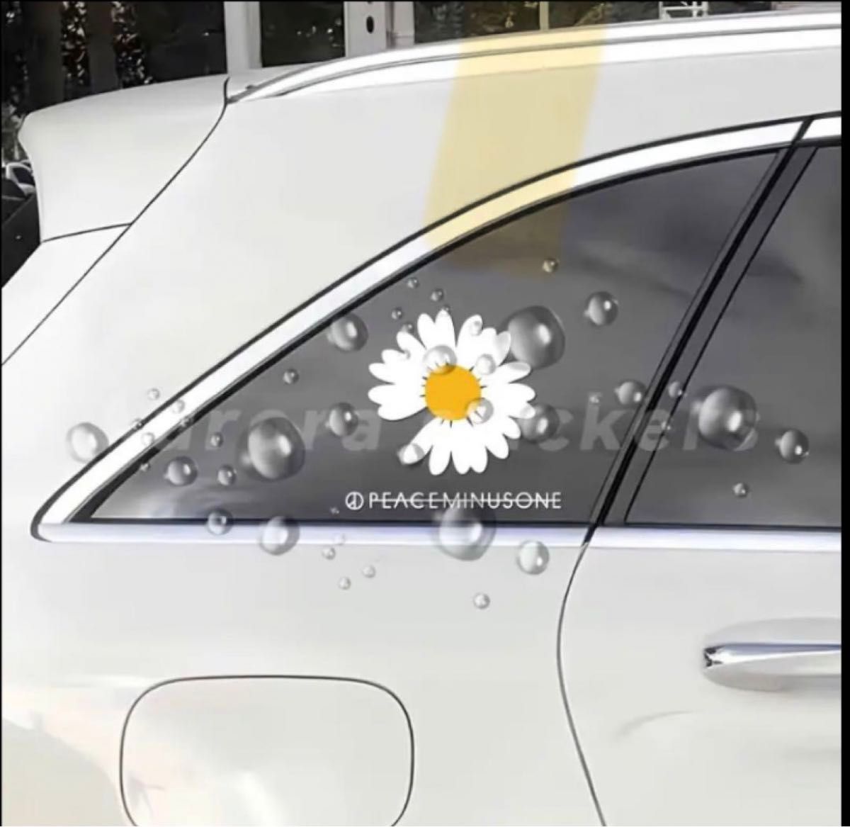 peaceminusone (ピースマイナスワン) デイジー ジードラゴン