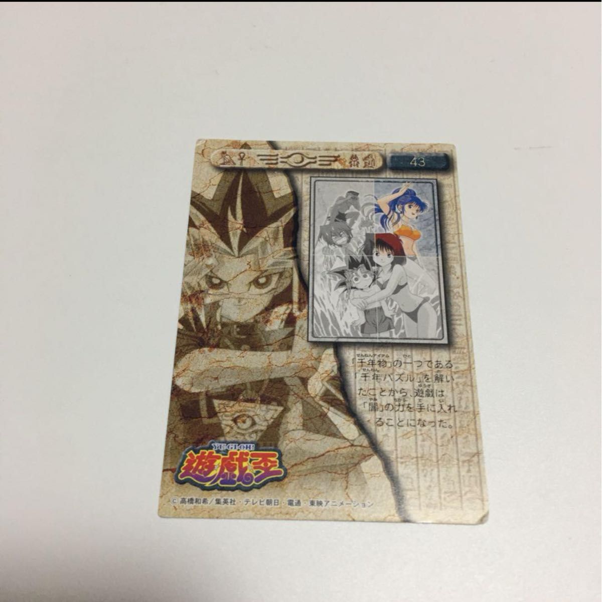 遊戯王 野坂ミホ 東映版 トレーディングコレクション アマダ 水着