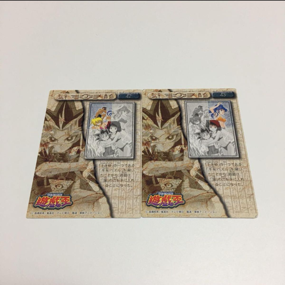 遊戯王 野坂ミホ 東映版 トレーディングコレクション アマダ 水着