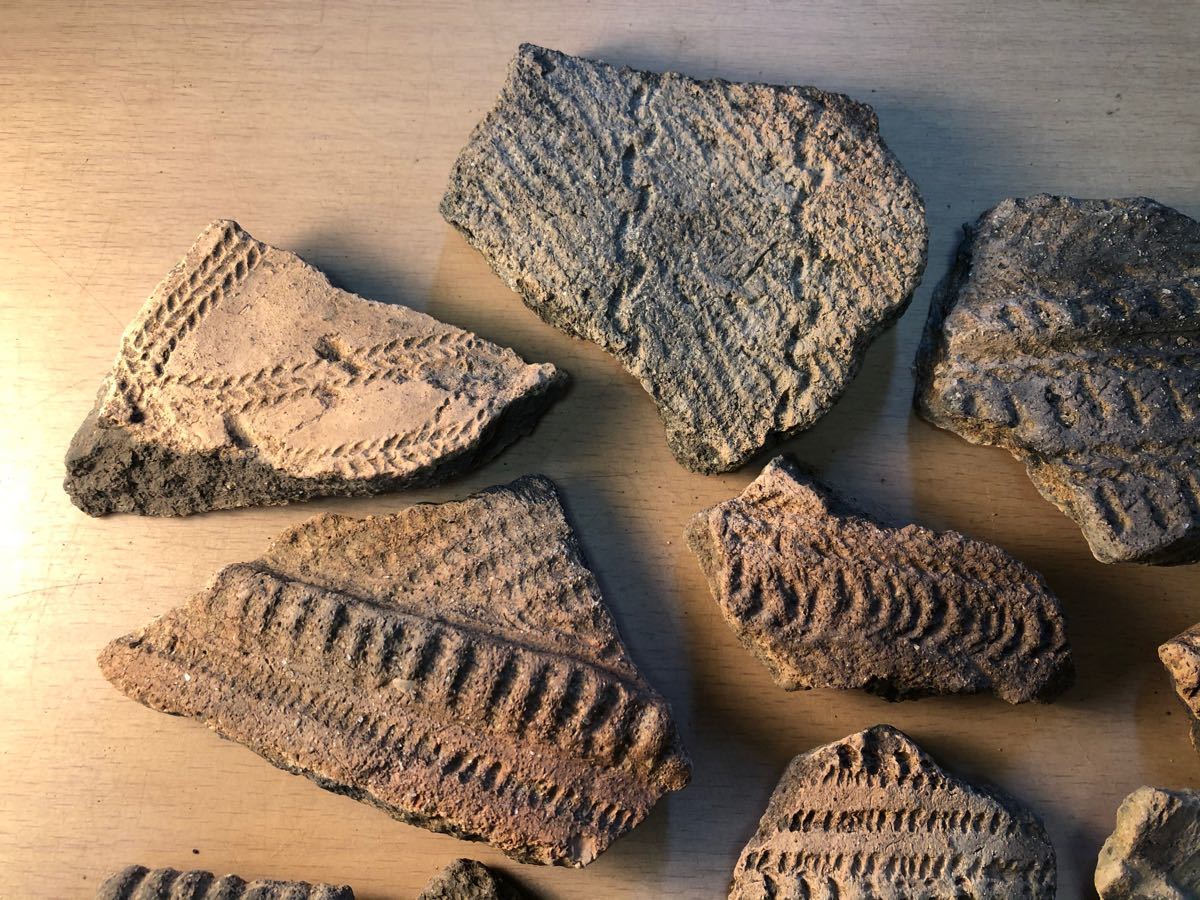 縄文土器の欠片 NO 5」です｜Yahoo!フリマ（旧PayPayフリマ）