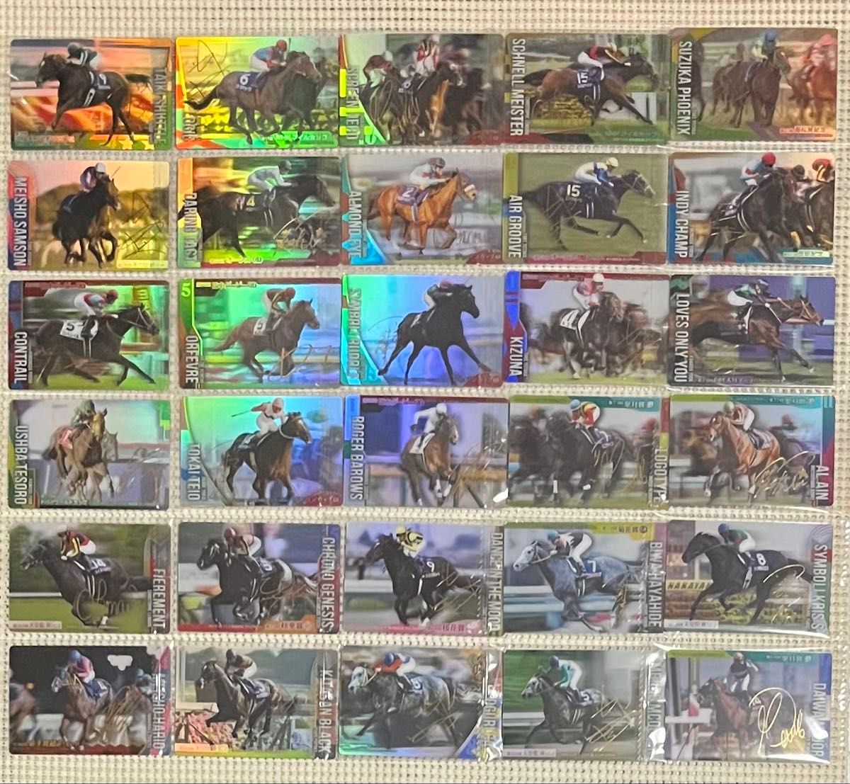 サラブレッドホースコレクション 第2R サイン入りコンプ 競馬カード