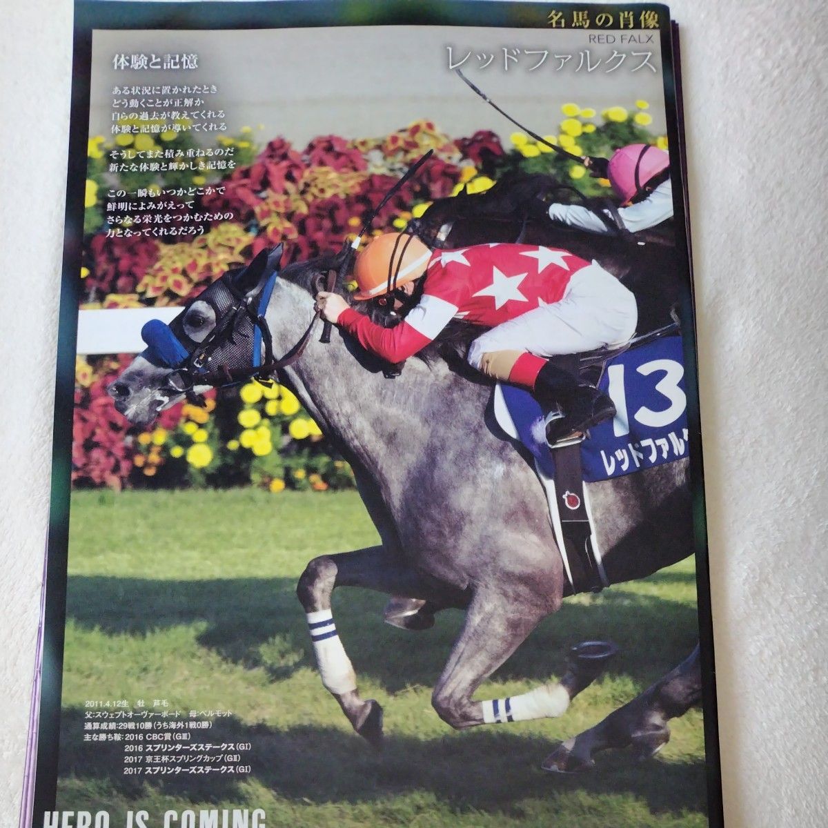 JRA競馬ブック2023年天皇賞 レーシングプログラム2022年4冊｜Yahoo