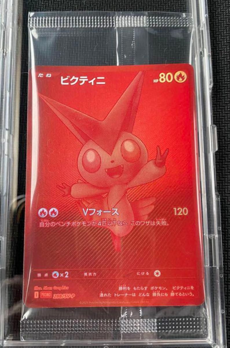 ビクティニBWR争奪戦 プロモ 未開封 匿名発送 ビクティニ争奪戦 優勝