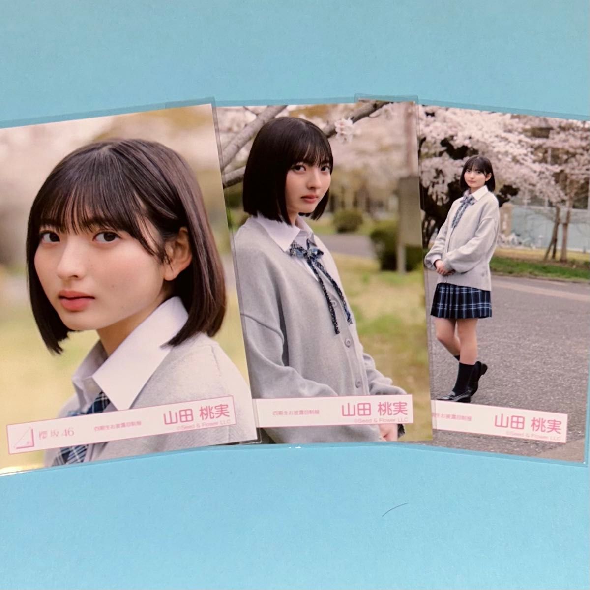 櫻坂46 山田桃実 生写真 4期生お披露目制服衣装 コンプ｜Yahoo!フリマ