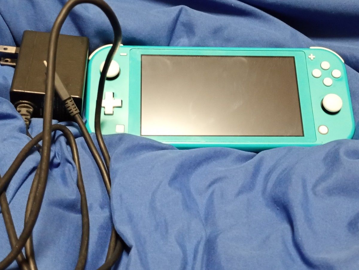 ジャンク品 Nintendo Switch lite 本体 充電器のみ任天堂スイッチ