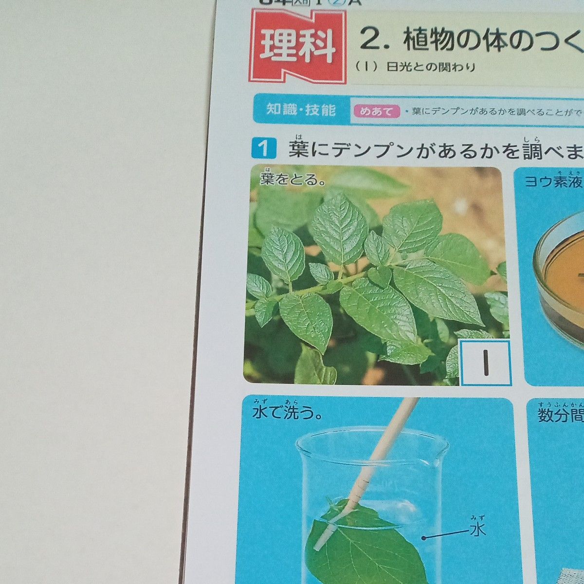 6年生 理科 大日本図書 ぶんけい カラーテスト 1学期 未使用 ラスト