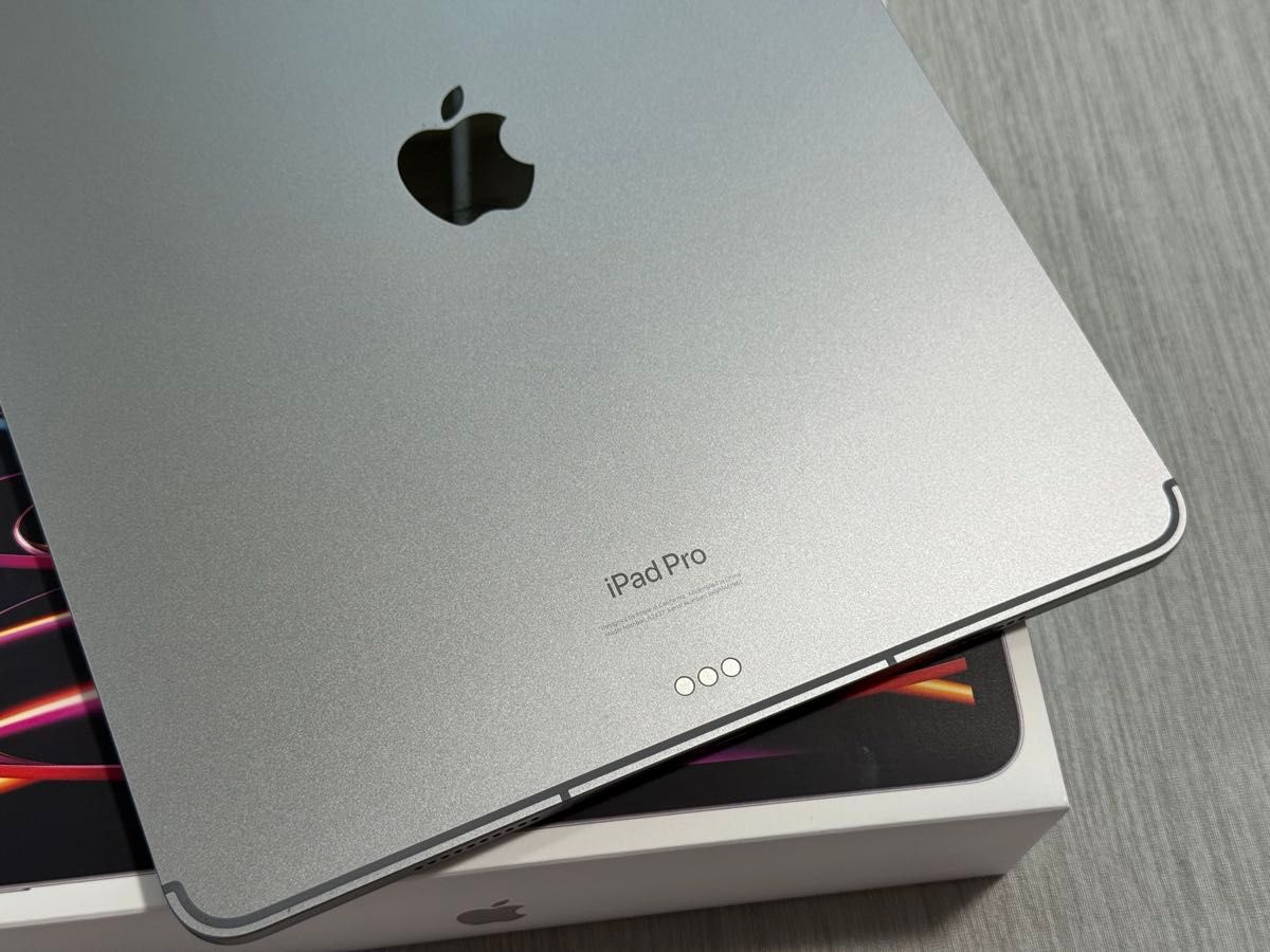 iPad Pro（第6世代） 12 9 Wi-Fi＋Cellular 2TB AppleCare+付 送料込