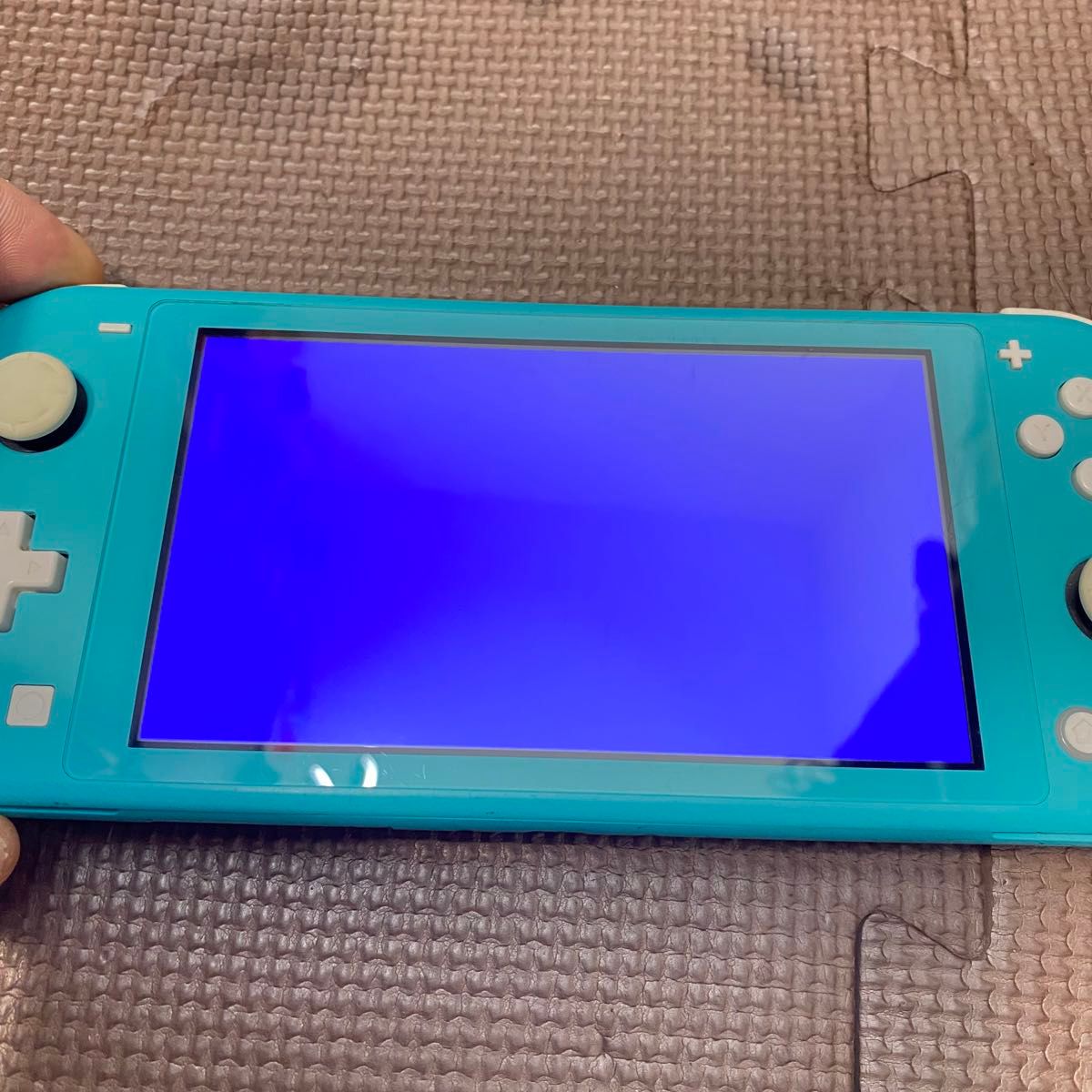 ジャンク】スイッチライト SwitchLite メイン基板 ブルースクリーン