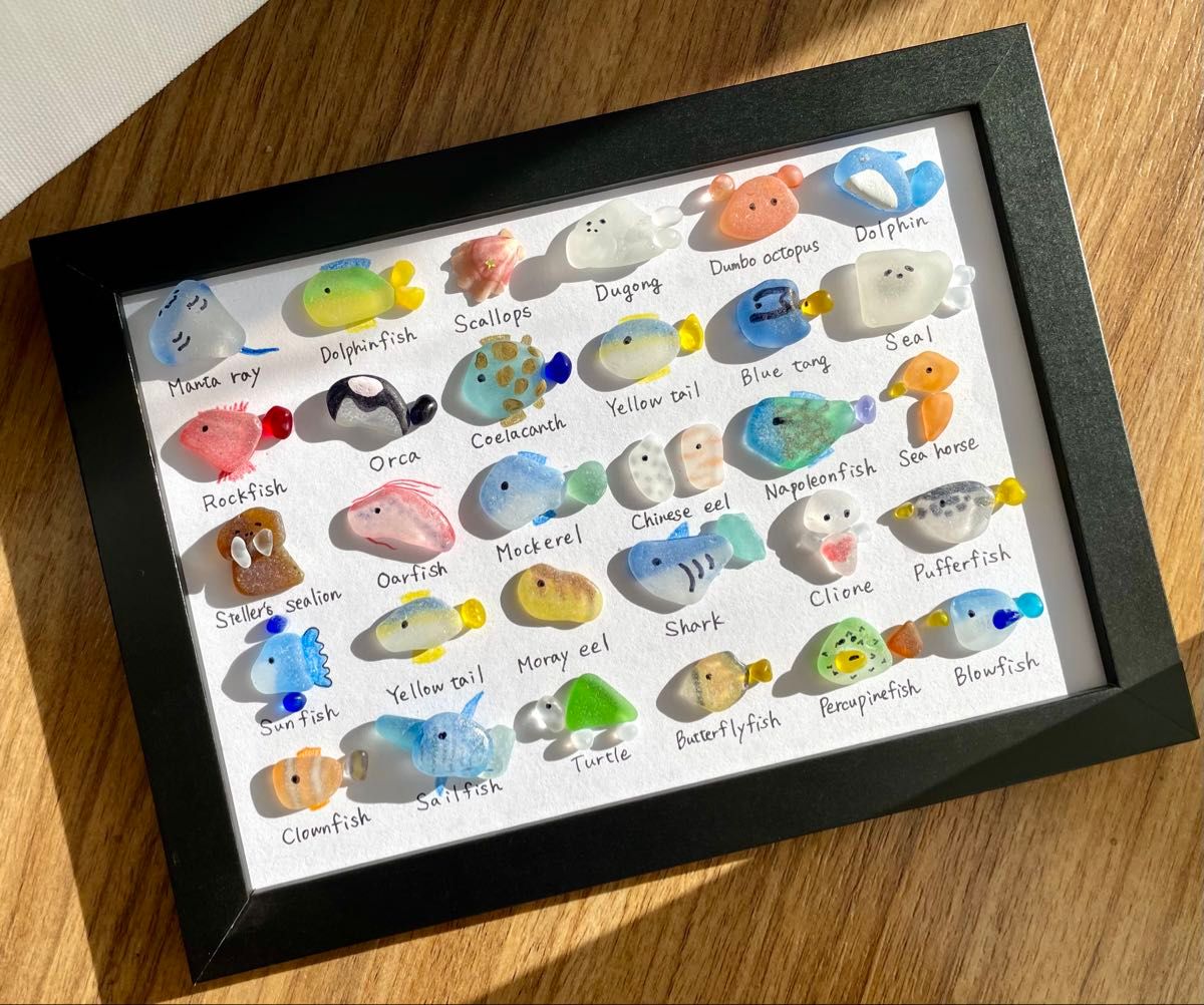 シーグラスアート No122 図鑑 海の生き物 6×5 置物 欧米 A5 クラゲ