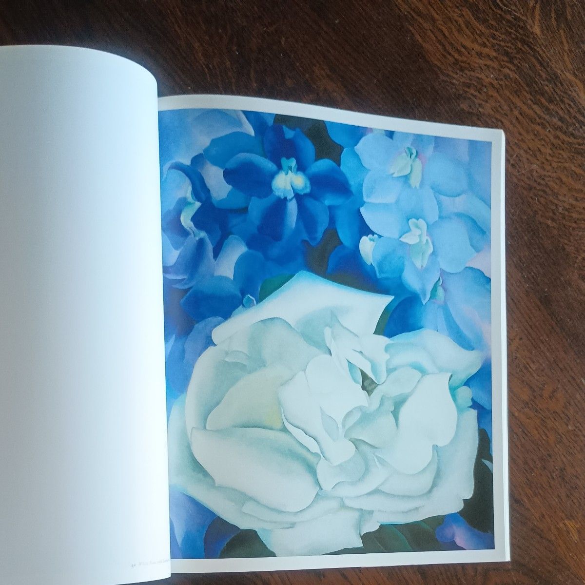 大型本・美品】ジョージア・オキーフ 花の作品集 大型本・美品