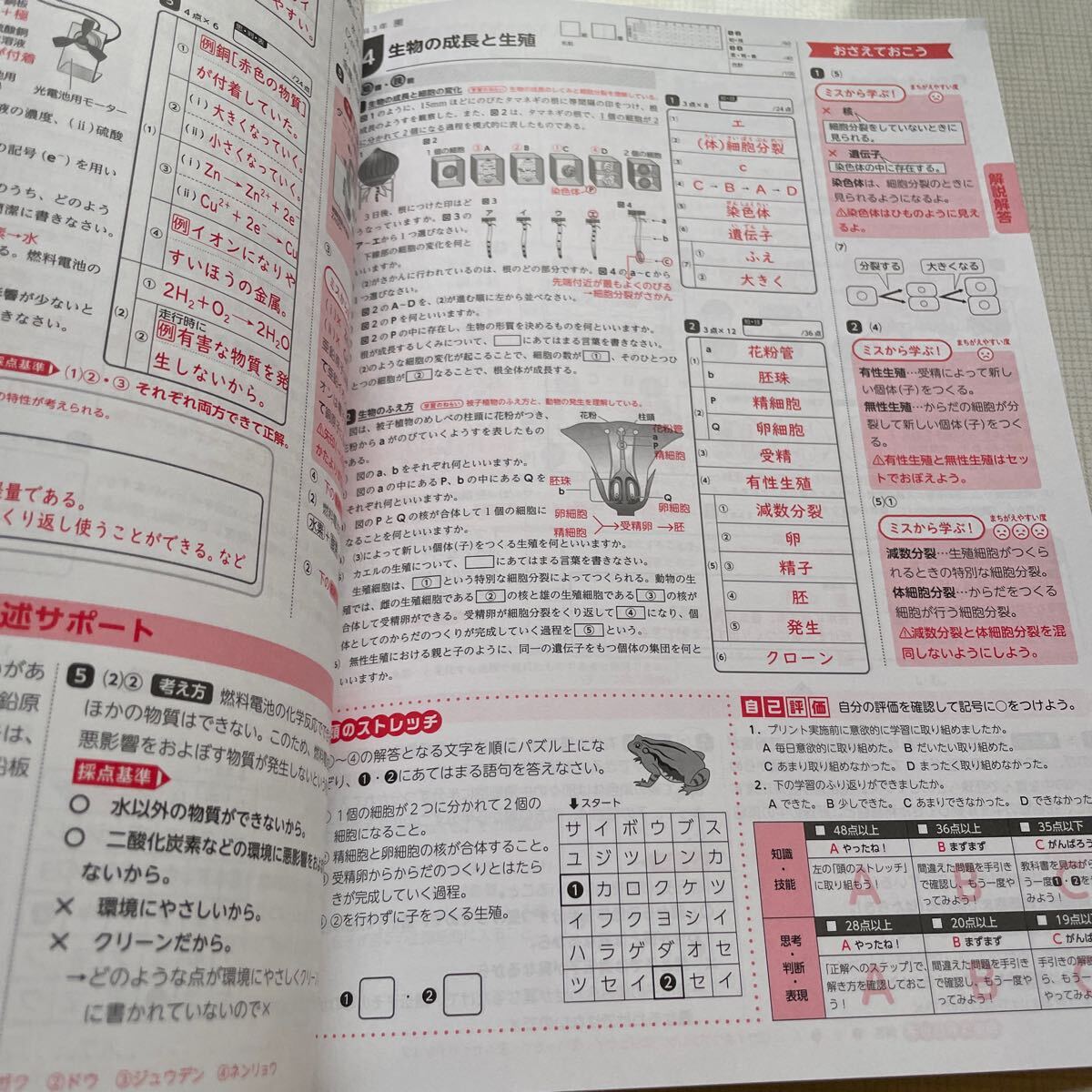 2025年度版「Wプリント 理科 3年 東京書籍版【教師用】」新学社 ダブル