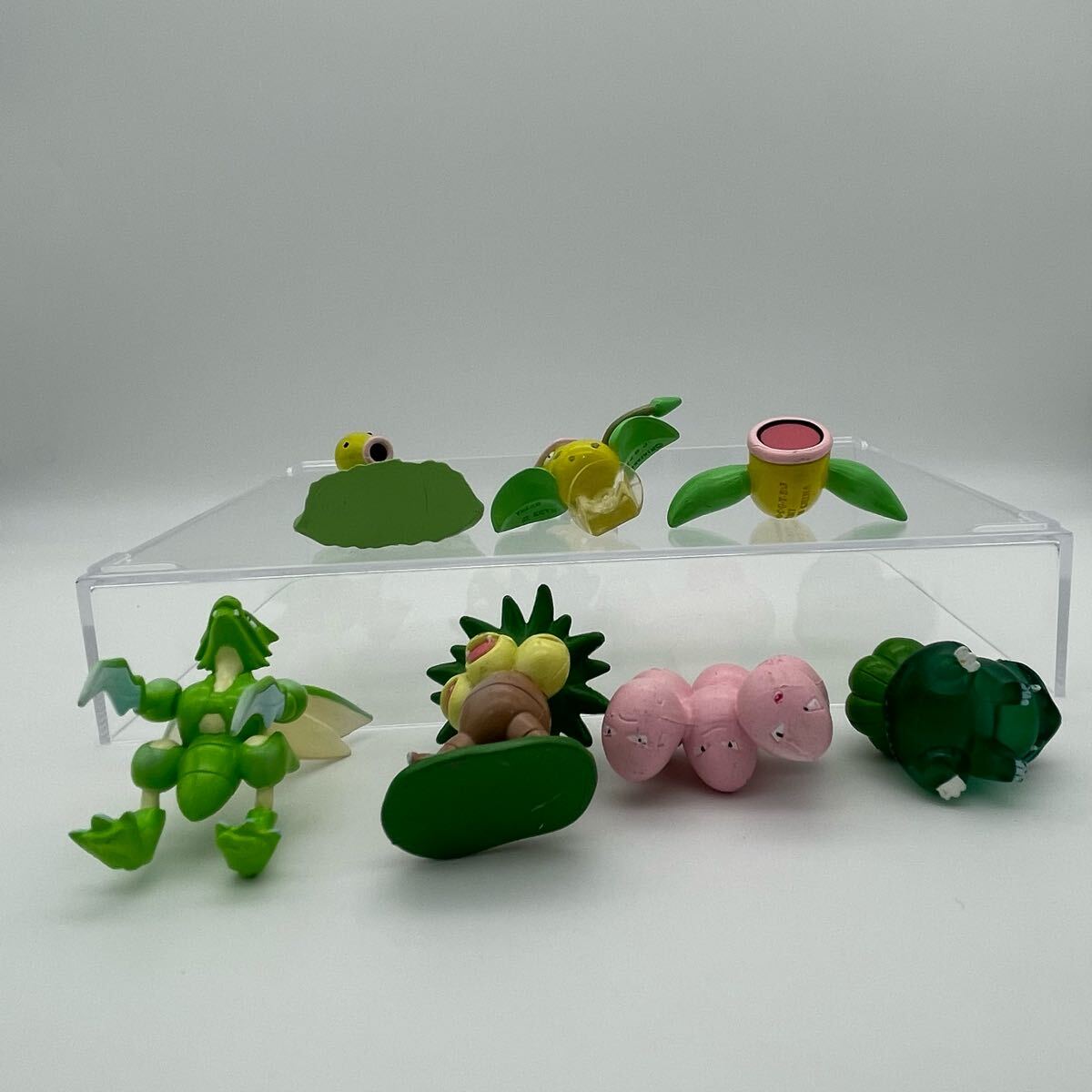 ポケモン モンスターコレクション モンコレ ウツボット クリア