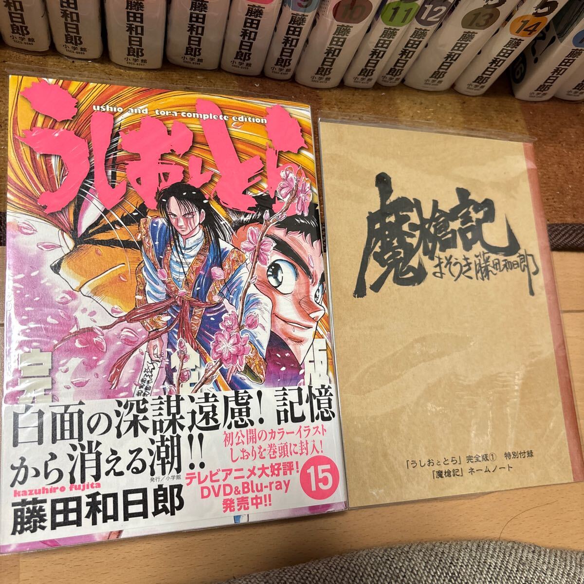 うしおととら 全巻 初版28/34 透明ブックカバー うしおととら (28