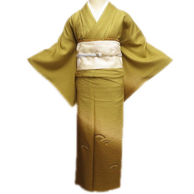 FN12106z 早い者勝ち！着物 正絹 付け下げ 151〜161cm ss0748b_1.jpg