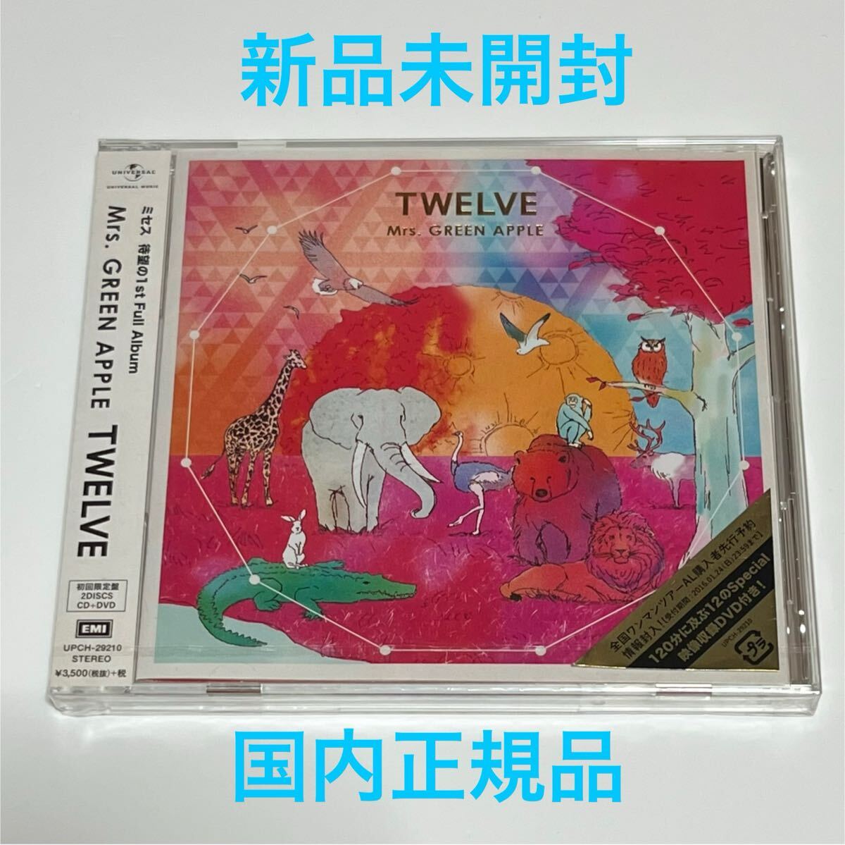 新品未開封 国内正規品】 Mrs GREEN APPLE TWELVE 初回限定盤 CD+DVD