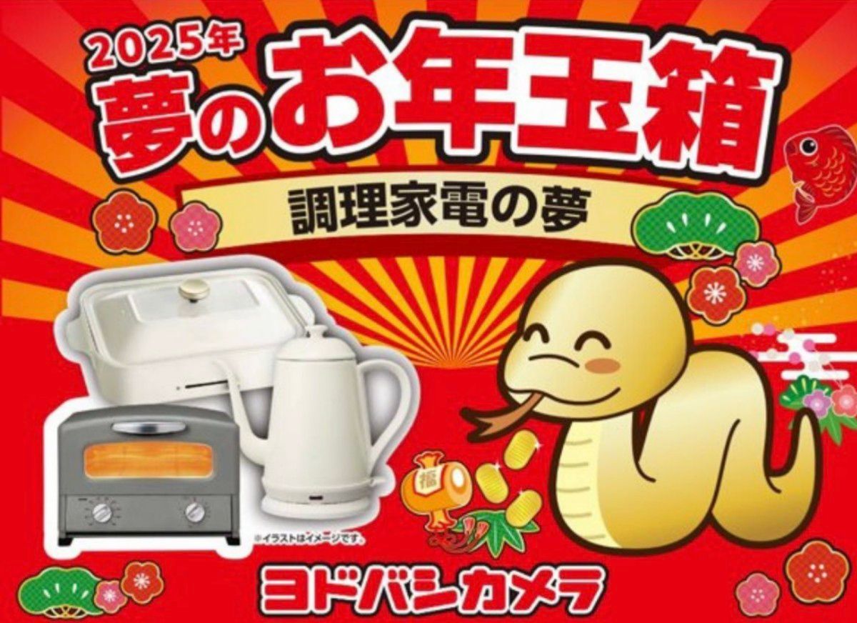 ヨドバシカメラ Yodobashi Camera 夢のお年玉箱2025 福袋 調理家電の夢