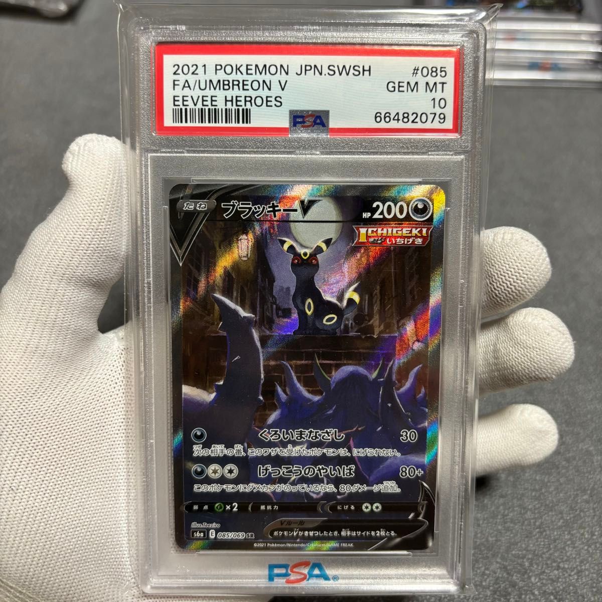 ポケモンカードゲーム PSA10 ブラッキーv sa SR スペシャルアート