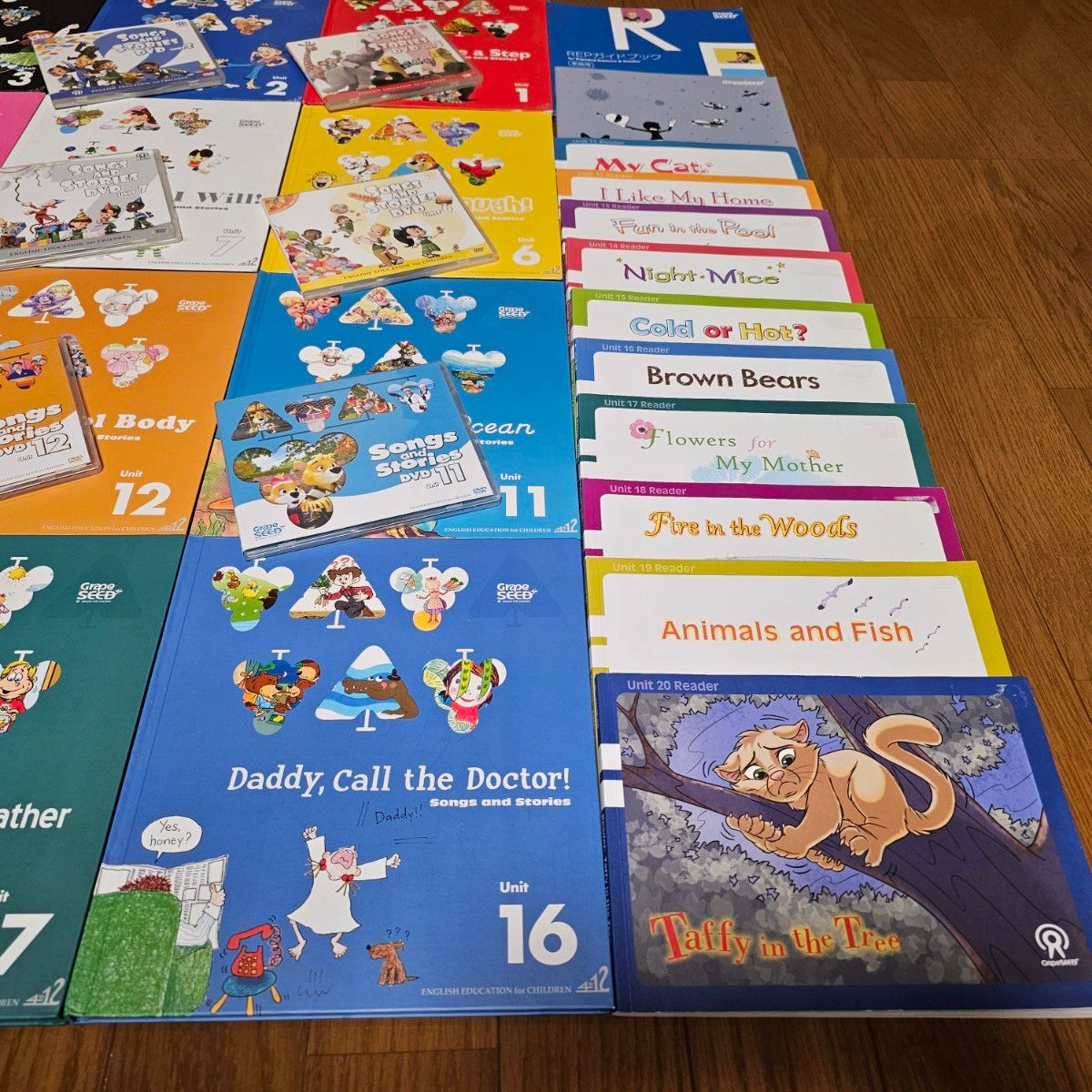 Grape SEED グレープシード 英語教材 ユニット1~20 CD・DVD付き 子ども