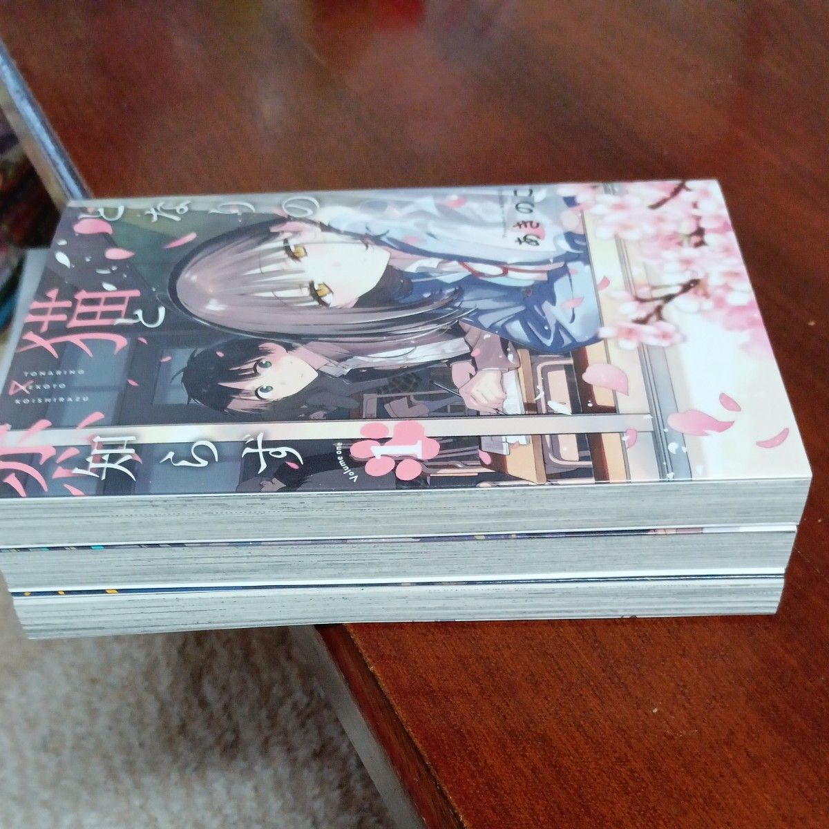 ほぼ未使用 全巻初版 既刊3巻セット となりの猫と恋知らず （ビッグ