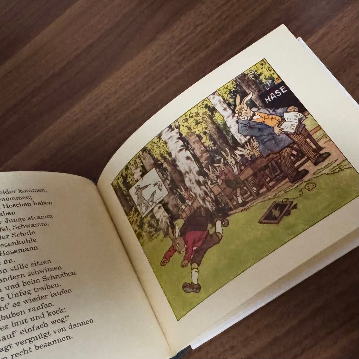 うさぎの絵本 洋書｜Yahoo!フリマ（旧PayPayフリマ）