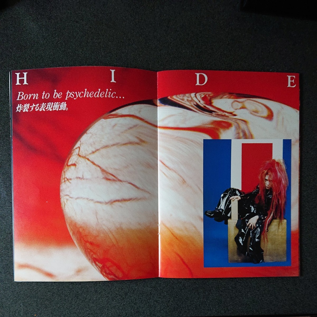 X JAPAN/X JAPAN RETURNS 完全版 DVD-BOX初回限定版｜Yahoo!フリマ（旧