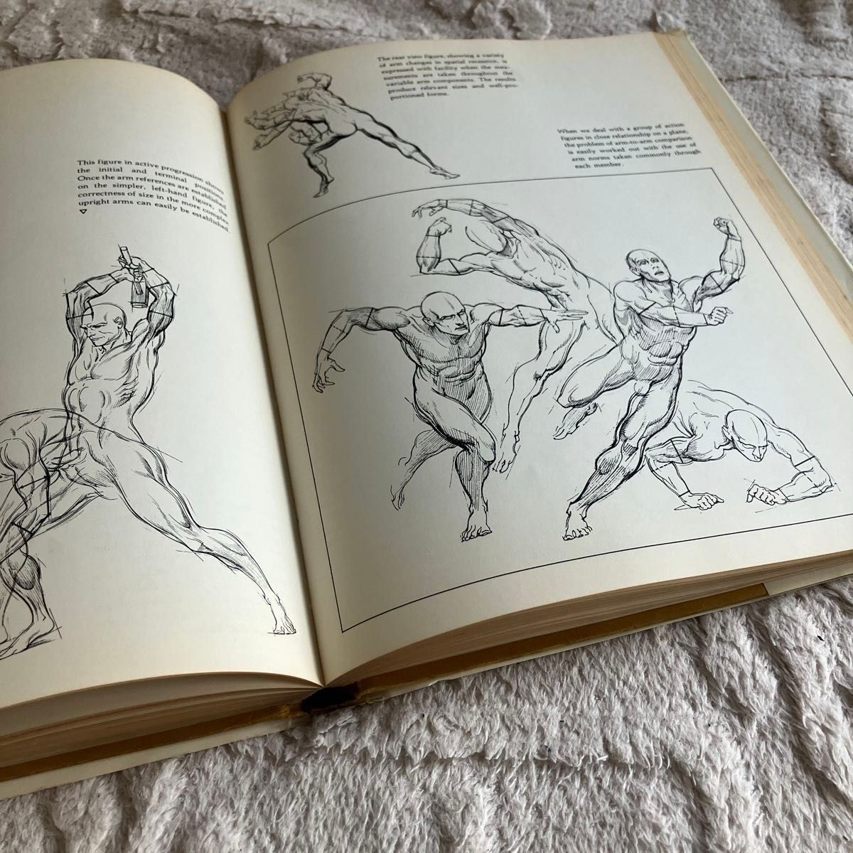 Dynamic figure drawingバーン・ホガース Burne Hogarth ヴィンテージ