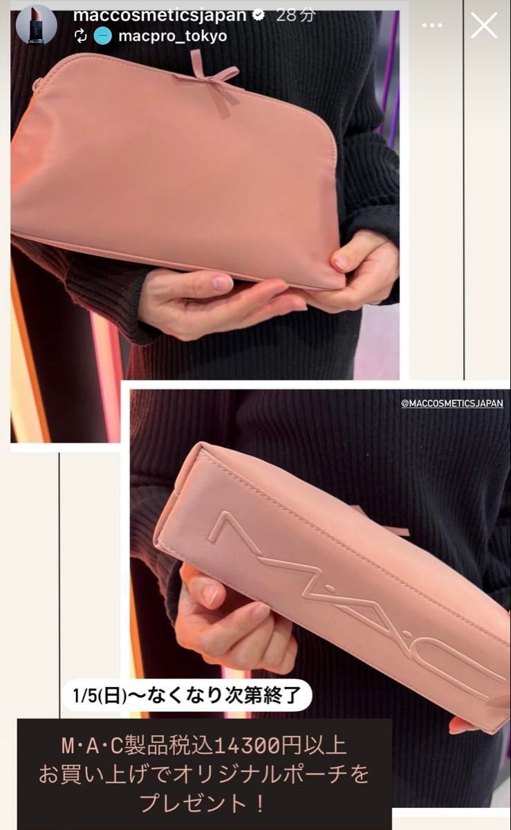 MAC ヌード ピンク バッグ ポーチ ケース 収納 ノベルティ 限定品