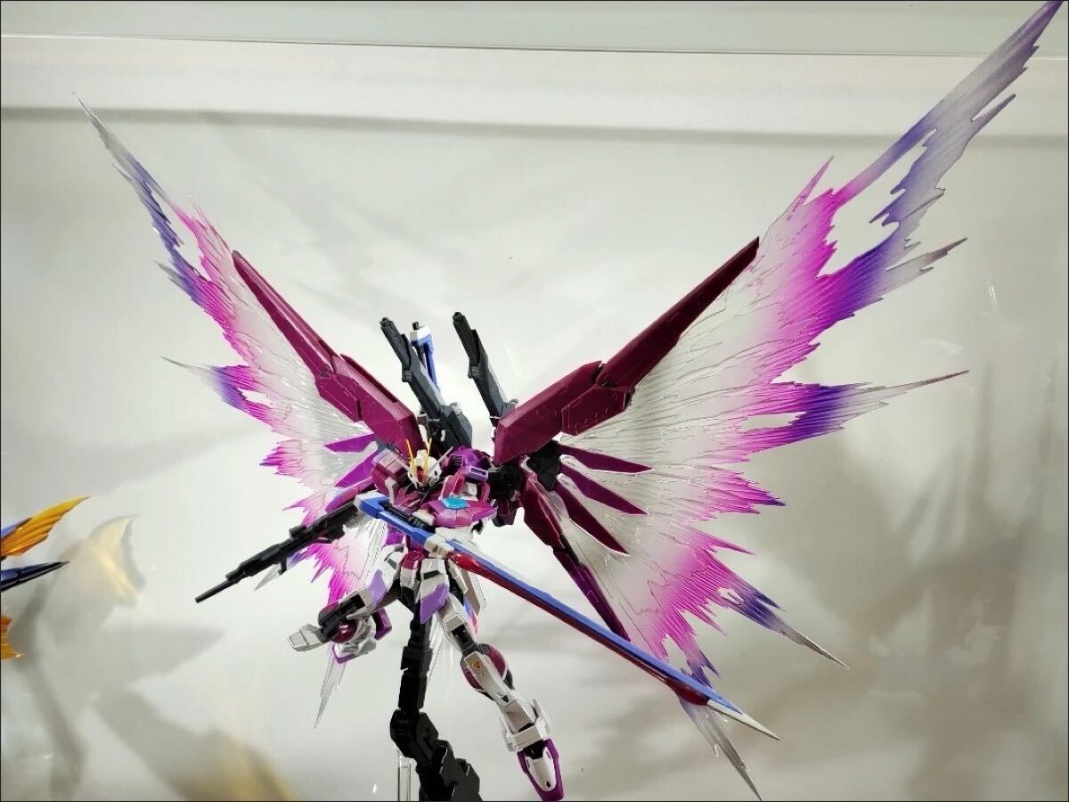 RG 1/144 ディスティニーガンダム&デスティニーインパルス用光の翼