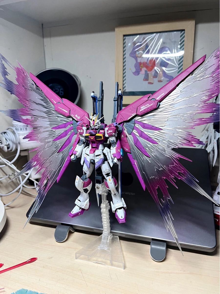 RG 1/144 ディスティニーガンダム&デスティニーインパルス用光の翼